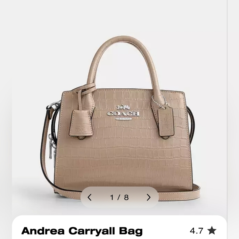 Coach Andrea carry all (Not Mini)